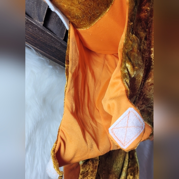 T-Rex Costume - Picture 9 of 12